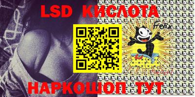 прущие крисы Моздок