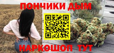 дурь Можга