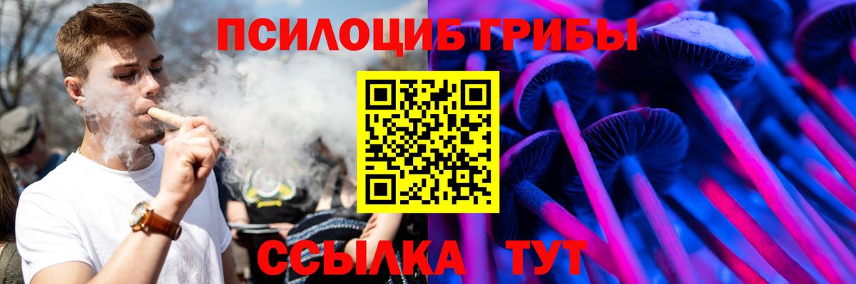купить закладку  Галлюциногенные грибы MAGIC MUSHROOMS  Всеволожск  Вход с VPN  Псилоцибиновые грибы мицелий 